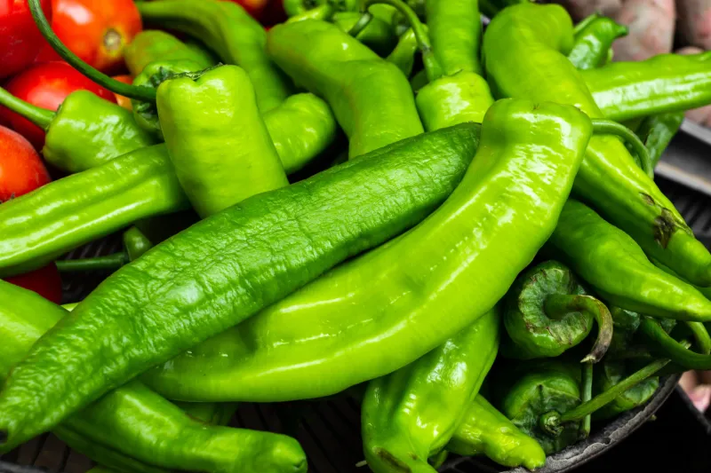 Yeşil biber