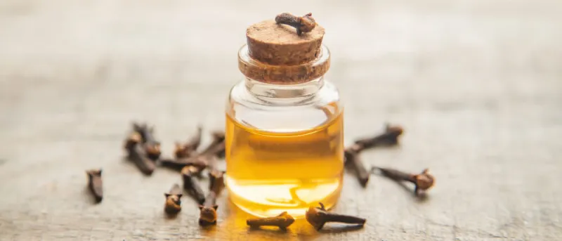 karanfil yağı faydaları
