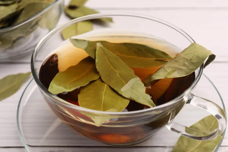 defne yaprağı çayı faydaları