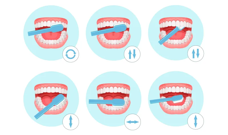 Doğru Diş Fırçalama Tekniği Nasıl Olmalıdır?