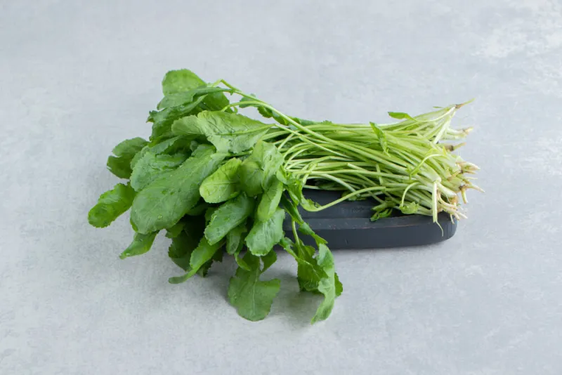 su teresi faydaları