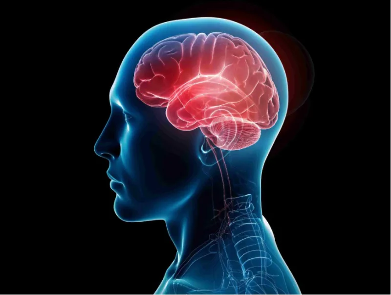 derin-beyin-stimulasyonu 