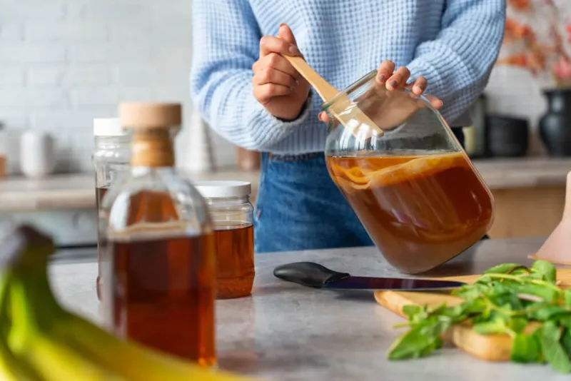 kombucha çayı yararları
