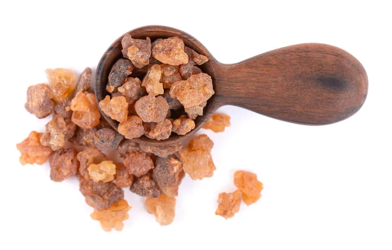 mür yağı faydaları