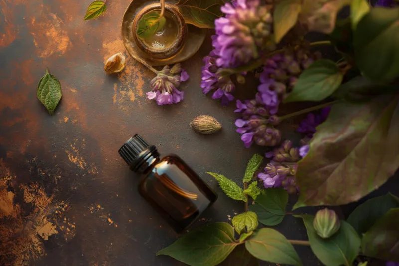 paçuli yağı faydaları