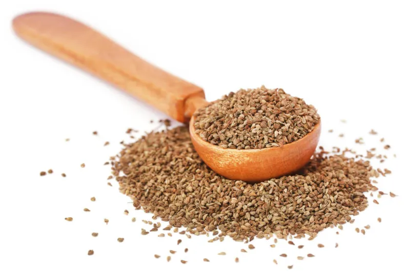 ajwain yağı faydaları