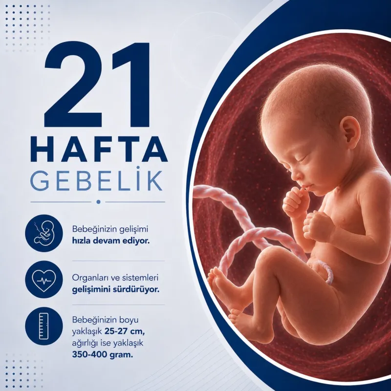 21 Hafta Gebelik 