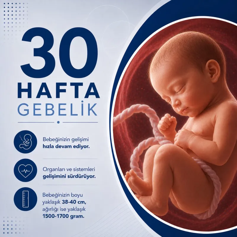 30 Hafta Gebelik