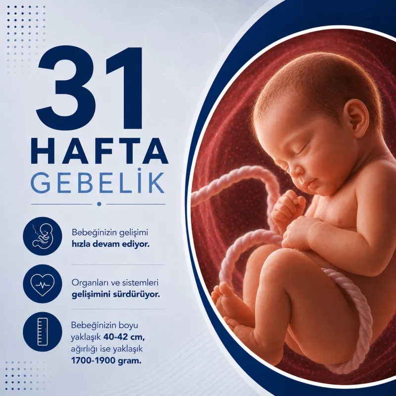 31 Hafta Gebelik