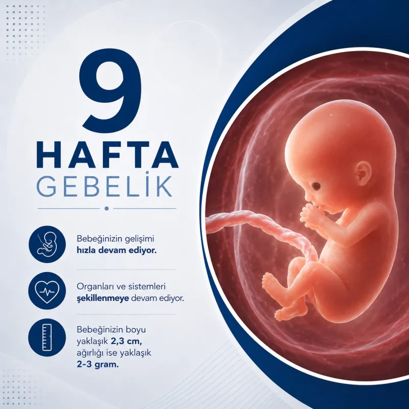 9 Hafta Gebelik