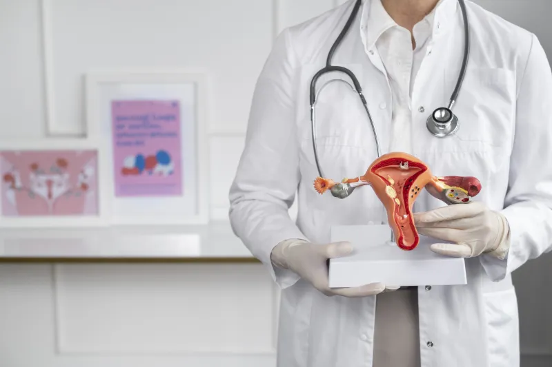 adenomyozis nedir