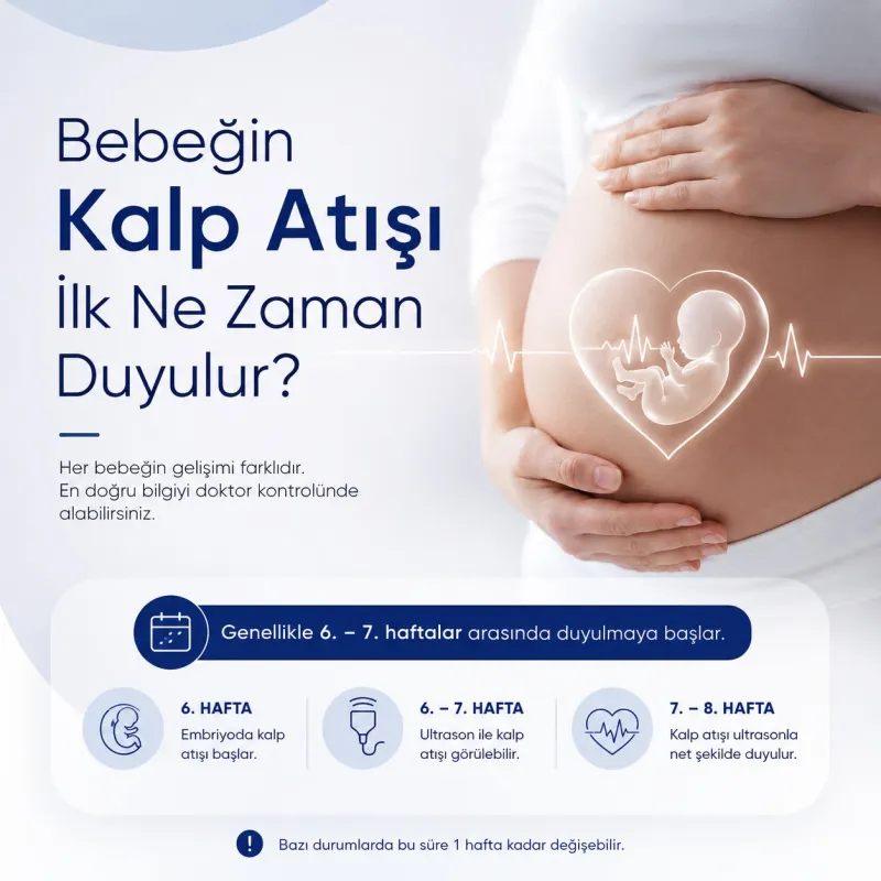 Bebeğin Kalp Atışı İlk Ne Zaman Duyulur?