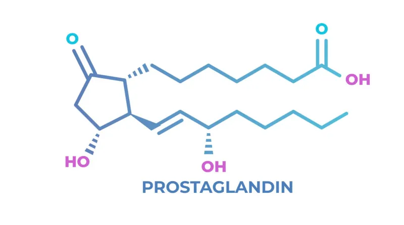 prostaglandin