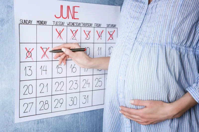 trimester nedir