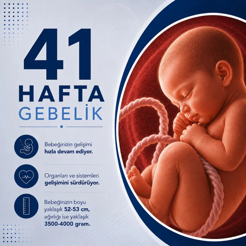 41 Haftalık Gebelik
