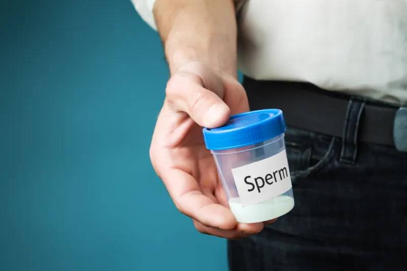 casa sperm testi