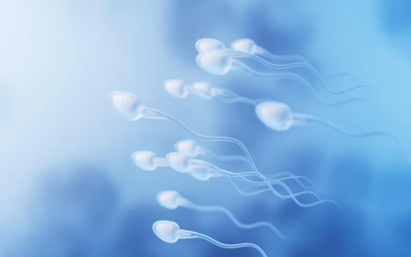 Erkekler Kaç Yaşına Kadar Sperm Üretir?