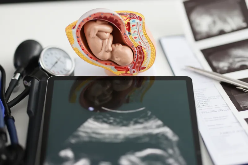 fetal kutup