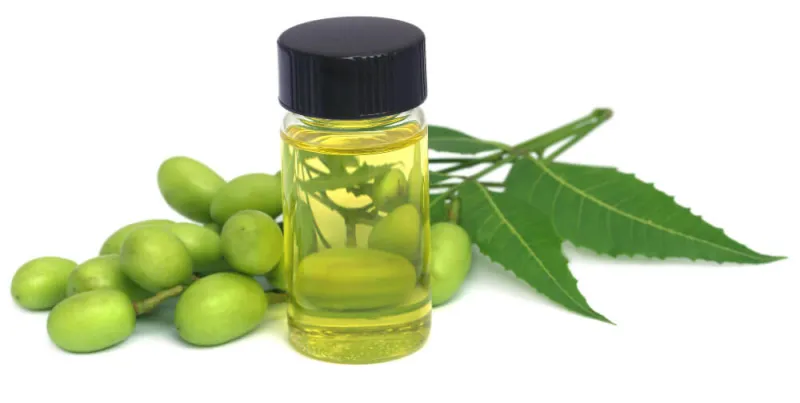 neem yağı faydaları