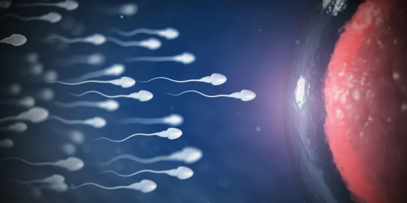 sperm hareket azlığı
