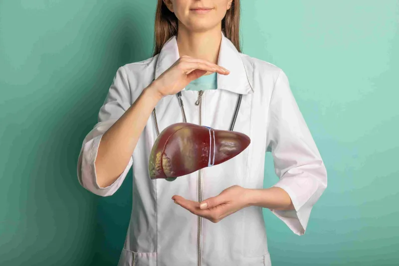 Karaciğer Sağlığı: Vücudun Temizleyici Gücünü Korumak İçin Bilmeniz Gerekenler