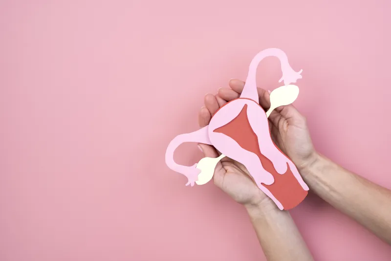 Vulva Kanseri Nedir? Vulva Kanseri Belirtileri ve Tedavi Yöntemleri Nelerdir?