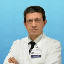 MEHMET FEYYAZ SEÇER MEHMET FEYYAZ SEÇER