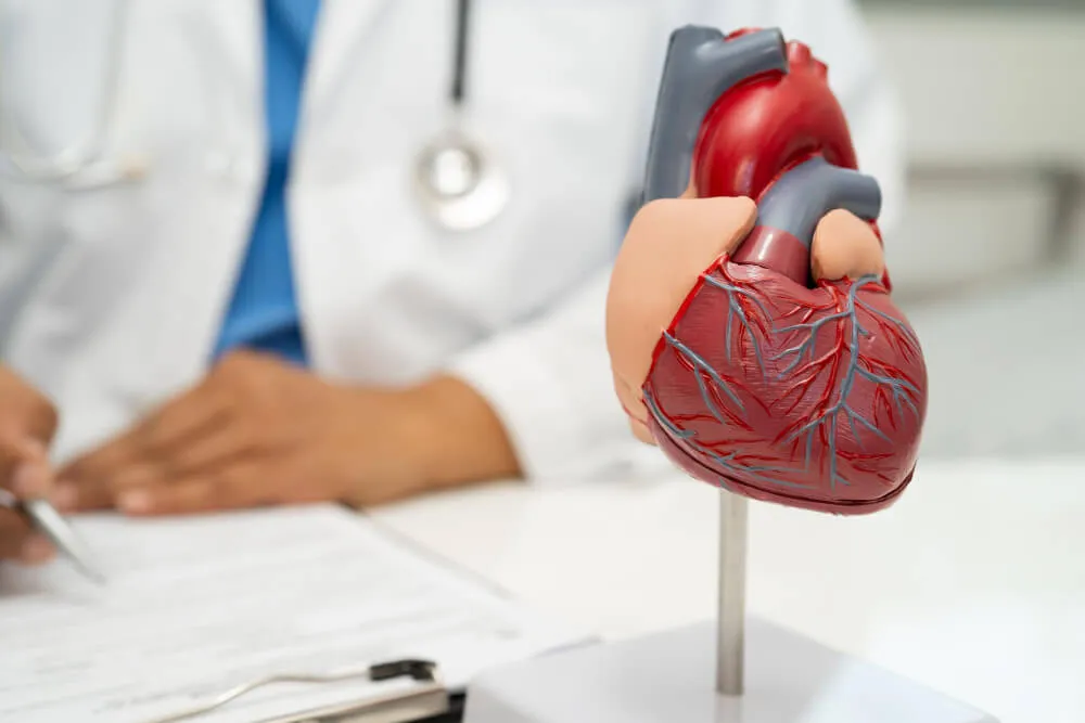 Transesophageal Echocardiography (TEE): What It Is and When It Is Used