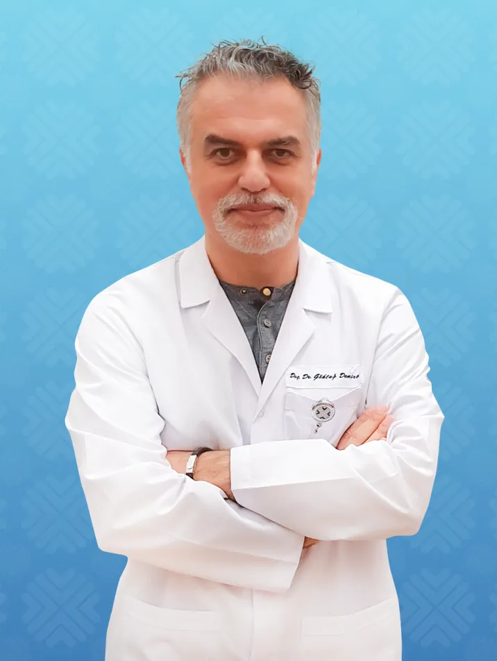GÖKTUĞ DEMİRCİ