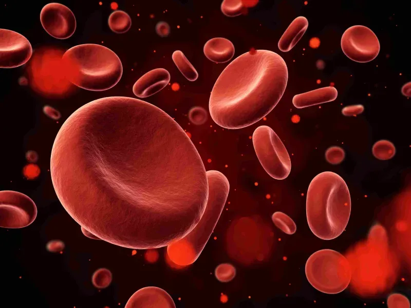 Bone-Marrow-Transplantation
