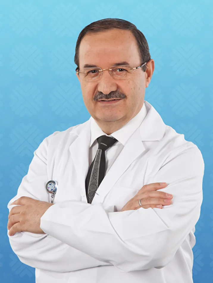 ELVAN TERCAN