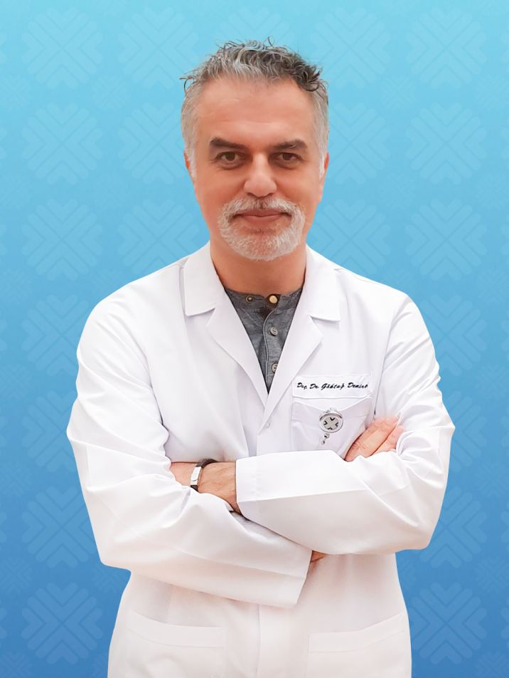 GÖKTUĞ DEMİRCİ