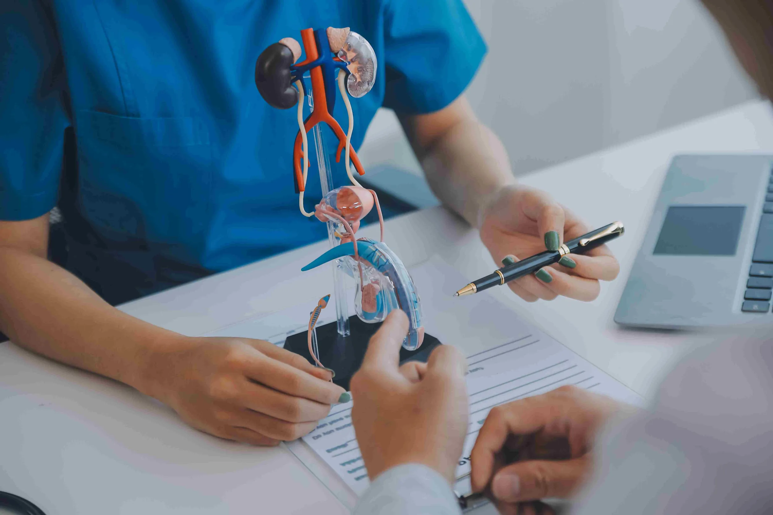 What is Urological Oncology (Uro-oncology) and What Diseases Does it Treat?