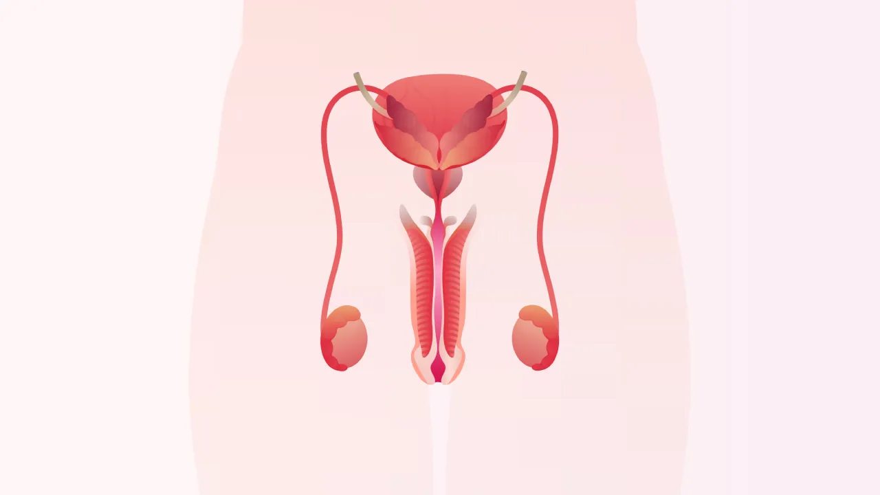 TUR-P: Closed Method Prostate Surgery