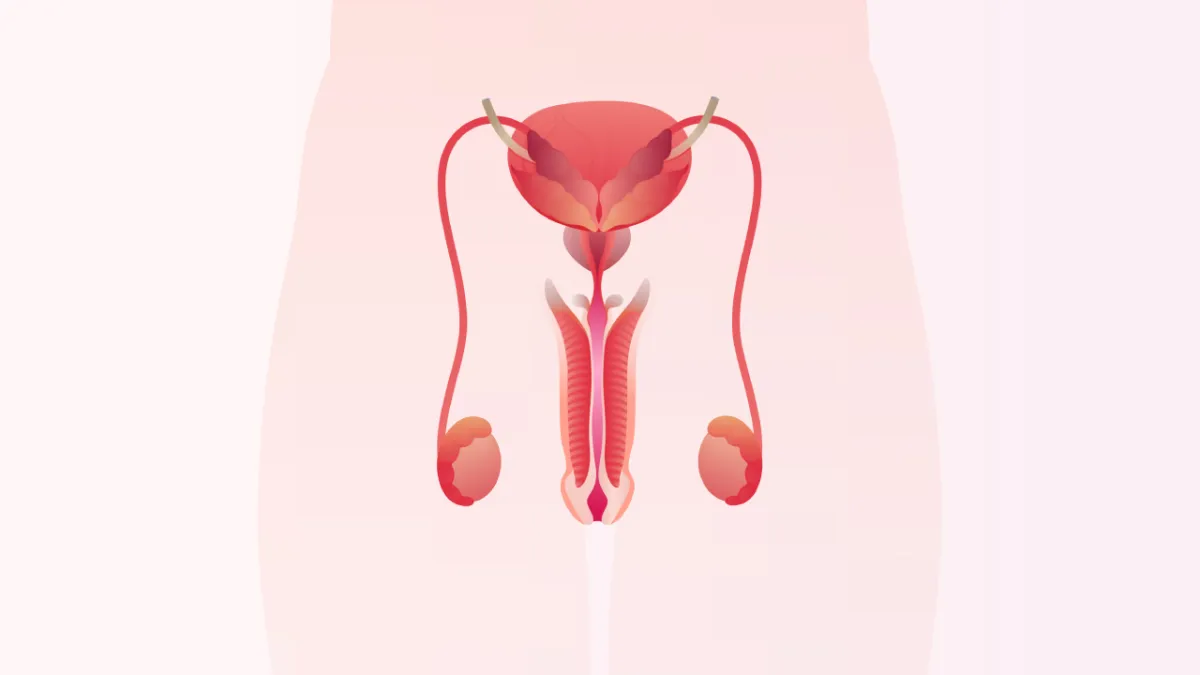 TUR-P: Closed Method Prostate Surgery
