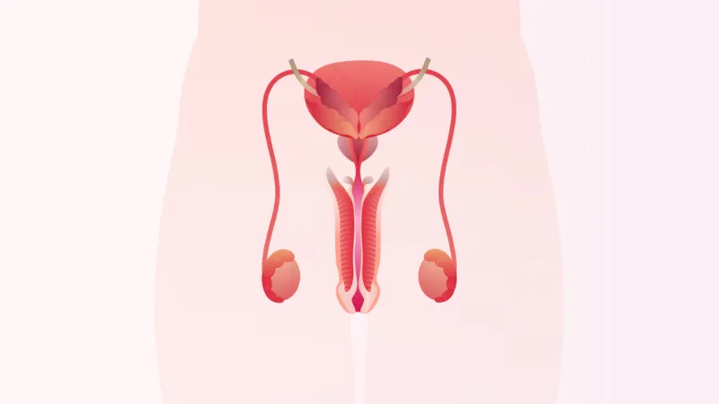 TUR-P: Closed Method Prostate Surgery